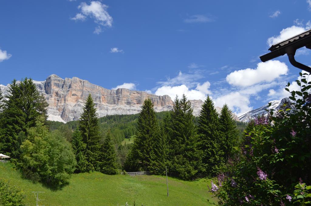 Ciasa Andy Appartement Badia  Buitenkant foto